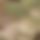 BandLab banner for @lukac