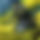 BandLab banner for @ivan_00