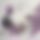 BandLab banner for @tunic