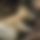 BandLab banner for @ifnot