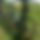 BandLab banner for @helm
