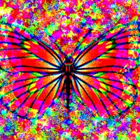 Cover art for FLOWER