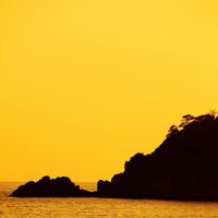 Cover art for BETRAYED